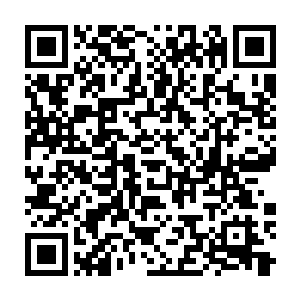 此时的她也不知道要怎么对付这些没有感情只知道杀戮的嗜血野兽二维码生成