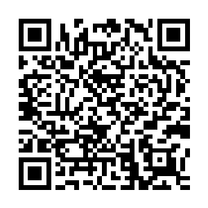 此时的她已经将自己的修为完全稳定在筑基期第一层后期巅峰二维码生成
