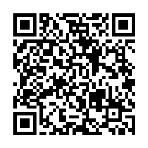 此时的她早也不是当初那个圣洁无暇的花仙子叶欢了二维码生成