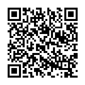 此时的她正和赌王的管家还有几个心腹在陵园守夜二维码生成