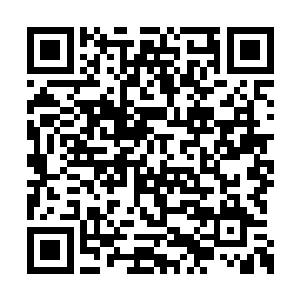 此时的季宸渊身上并没有之前那肃杀一切的肆意二维码生成
