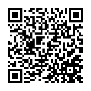 此时的完颜柔嘉一身疲惫的窝在被窝里再也难以动弹二维码生成