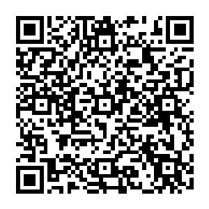 此时的我浑然不知危险临近还兀自地吞食着血海狂猛的血气能量迅速地被我身体吸收二维码生成