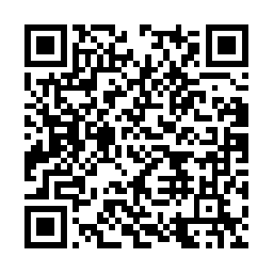 此时的戴梦微已经挑明了与华夏军不共戴天的态度二维码生成