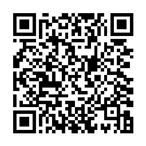 此时的朱晋岩和亚德里恩的一颗心也终于算放下来了二维码生成