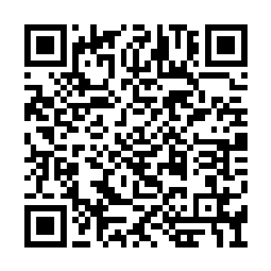 此时的杀戮之龙可以说是发生了天翻地覆的变化二维码生成