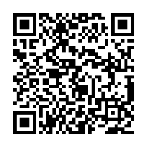 此时的林封谨吞噬了泛东流身上的妖星命格之后二维码生成