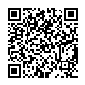此时的河族族长与河柔已经彻底的不知道该说什么好了二维码生成