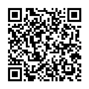 此时的温兆华和胡方野坐在一辆十分普通的面包车内二维码生成