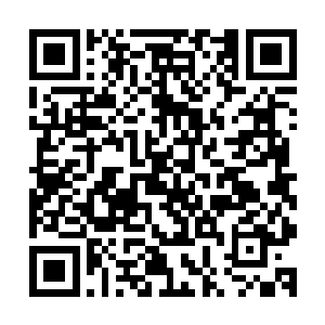 此时的疯狂老鼠号就像是一只刚从垃圾堆里钻出来的垃圾老鼠二维码生成