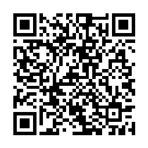 此时的血魂老祖仿佛一只地狱之中走出的修罗一般二维码生成