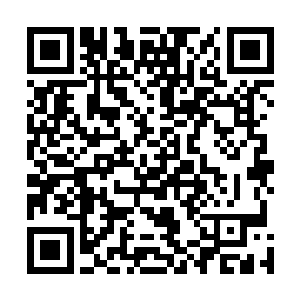 此时的袁鸿的灵魂之火就仿佛在暴雨骤雨之中的蜡烛一般二维码生成