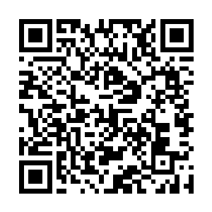 此时的西夏大军就像是一支正在进行远途迁徙的野牛群二维码生成