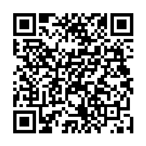 此时的许紫烟已经完全沉醉在董依依和白熙颜的斗法之中二维码生成
