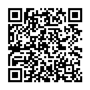 此时的许紫烟很希望能够为文青父子做点儿什么二维码生成