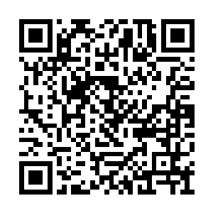 此时的轩辕二少样貌就像是一头半人半妖的存在二维码生成