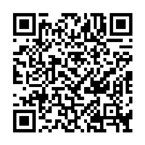 此时的轩辕二少速度已经达到了一种恐怖的境界二维码生成