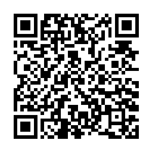 此时的那些大乘期修士是第一批冲到生命之光的跟前二维码生成