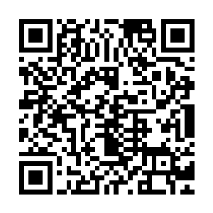 此时的龙傲天实力比之前全盛时期可不知道要强大了不知道多少二维码生成