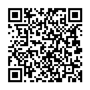 此时的龙野是又害怕又惊喜高兴的是乌灵竟然这个时候站了出来二维码生成