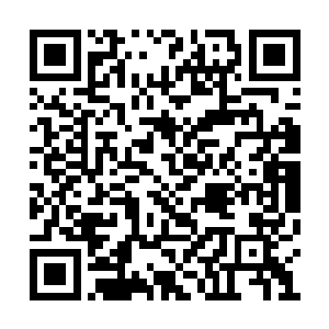 此时目睹了杜预在对迪亚波罗战斗中的逆天表现二维码生成