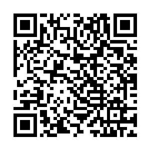 此时看上去这帮学员跟开始的时候已经有了天壤之别二维码生成