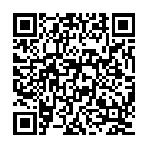 此时看到包大友的老婆又要去抓挠自己情郎的脸二维码生成