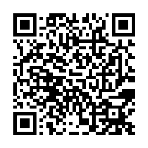 此时看到司空家族依然安排由她来主持接下来的商务活动二维码生成