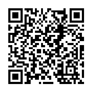 此时看到藤野原子朝自己几个女人的方向扑了过来二维码生成