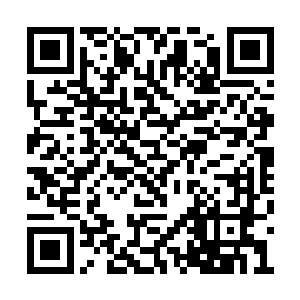 此时真正有理想抱负的年轻人不会去选择这条路二维码生成