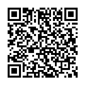 此时站在红地毯两侧的粉丝们一下就明白了过来二维码生成