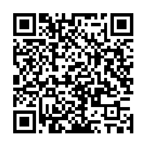 此时终于第一次对凯莉抬起了头――和刚刚摄入876号化合物二维码生成