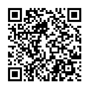 此时自己所处的这一片空间乃是混沌钟所幻化出来的空间二维码生成