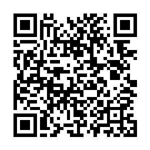 此时药家所有的人全都期待药家的组长和精英子弟马上回来二维码生成
