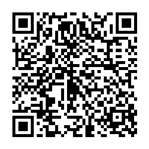 此时蓝枫的手中出现了一个蓝色的不断的出一道道紫色光晕的盾牌二维码生成