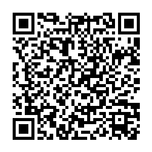 此时虚无痕毫无遮掩的释放出自己九变神王和六转神皇诀的恐怖气势二维码生成