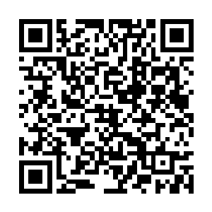 此时血衣中年人的目光也瞬间落到了龙傲天的身上二维码生成