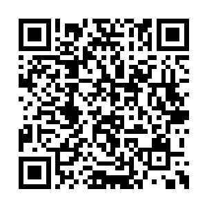 此时被关在里面的夏天也是一脸疑惑的看向周围二维码生成