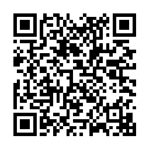 此时见到自己宗门的核心功法竟然出现在拍卖会上二维码生成