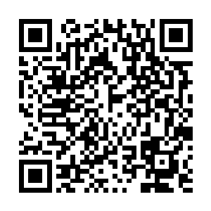 此时见到这护宗大阵的恐怖的凤火舞心中也是十分的震惊二维码生成