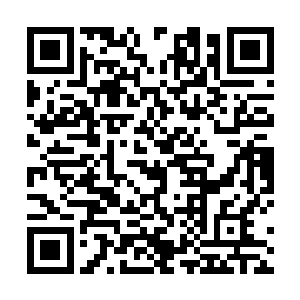 此时见到那些天尊们正在一边哭着一边抡着镐头在挖矿二维码生成