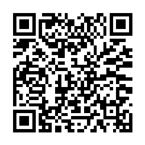 此时见到龙傲天竟然给了他们一套如此强大的法宝二维码生成