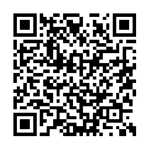 此时许紫烟正在和那个器宗的人尊期大修士激战二维码生成