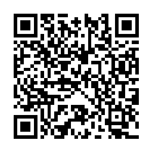 此时许紫烟的身形有些狼狈萌娘武侠世界最新章节二维码生成