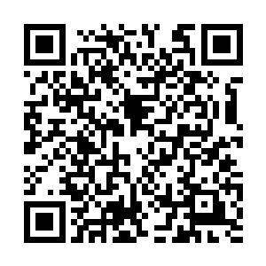此时许紫烟等人极其缓慢地在雷霆木森林内移动着二维码生成