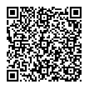 此时许紫烟透过那个石碑也看到了四家老祖正在一处十分巨大的药园之中收刮着草药二维码生成
