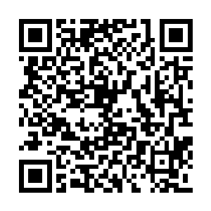 此时距离灭世大战已经过去了足足数万年的时间二维码生成
