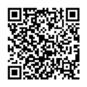 此时车厢内的小环自然不再是方才那副恶狠狠的模样二维码生成
