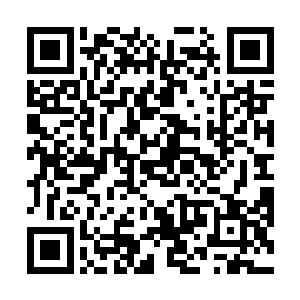 此时这三十多个人都没有显出本体而是用的人类的身体二维码生成
