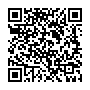 此时这两百百多个人基本上已经完全变成了一个整体二维码生成